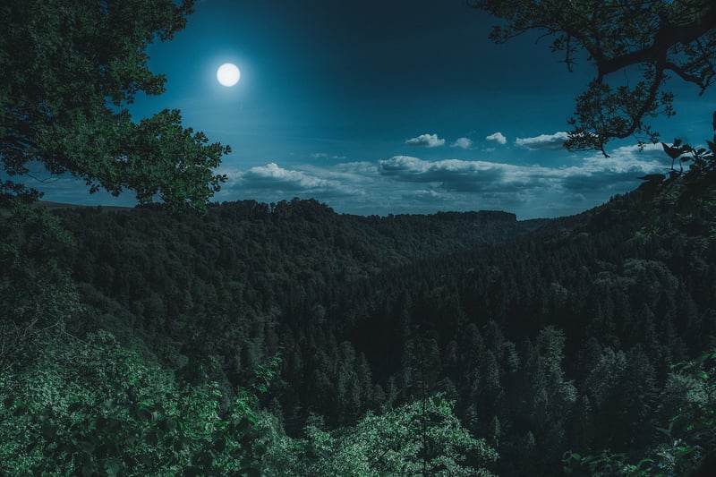 Lunar Exploration and Research